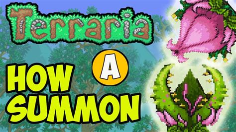 <b>Plantera</b> is an extremely easy boss if you know what to do, chlorophyte is basically an upgraded version of hallowed but <b>without</b> the <b>summon</b> buff. . How to summon plantera without bulb